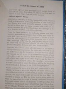 Teach Yourself Karate Book