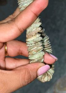 Vintage seashell  Oxidized Bracelet🐚