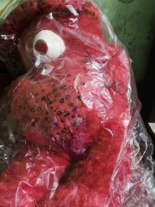 Red Teddy Bear