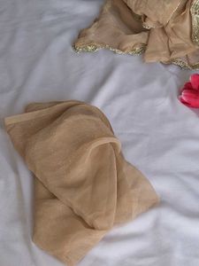 Elegant Golden y2k Saree