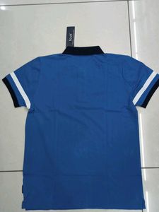 FCUK Blue Polo T-Shirt