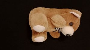 Cute Teddy Bear