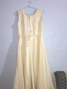 Party wear gown