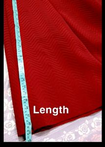 Skirt / Lehenga ~ Floor length / Long