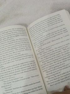 The Boyfriend by Freida McFadden Novel