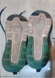 Blue Campus Running Shoes