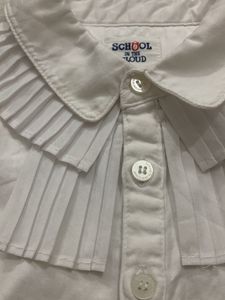 Elegant White Pleated Collar Blouse