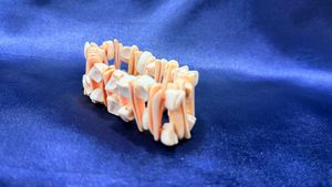 Peach White Natural Shell Bracelet
