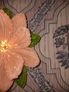 Handmade Lotus lamp 🪷 ✨️