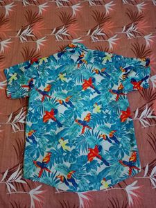 Imported Party Mood Goa Shirt For Kids Size 10