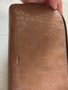Chic Brown Crocodile pouch