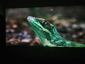 E GATE Projector with Remote &amp; Manual