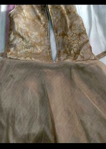 Elegant Embroidered Ethnic Gown