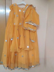 beautiful Indo Western lehenga