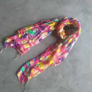 Ladies Scarf