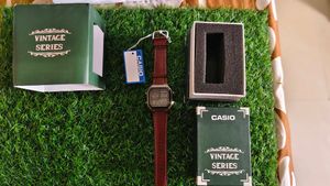 Premium Casio Brown Leather Belt Watch
