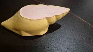 Seashell Decorative Showpiece