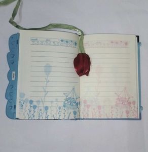 Disney Frozen Elsa &amp; Anna Diary