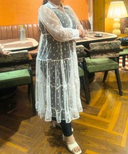 Polka Dot Sheer dress