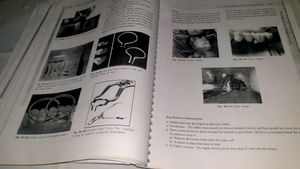 Textbook of Pedodontics 2nd Edition