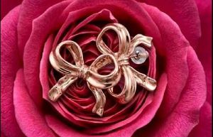 COMBO Chic Rose Bow Earrings