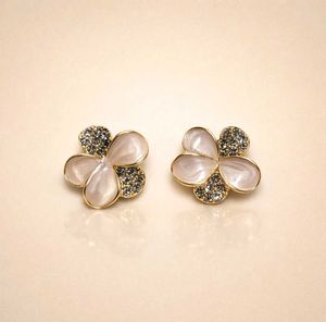 Sparkling korean Earrings