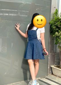 Denim Skirt Dangri