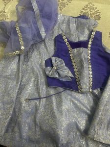 Girl Stunning Embroidered Lehenga Choli