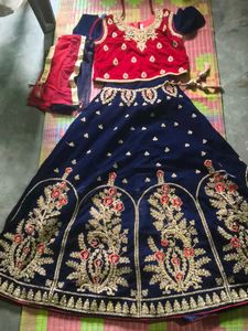 Red Velvet Blouse with Blue Sleeves