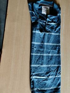 Striped Polo T-Shirt