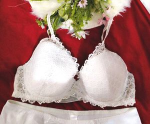 White Lace Bra and High waist penty set