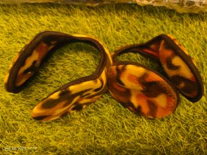 Camouflage Fleece Ear Warmers