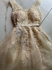 vintage Lace tulle dress