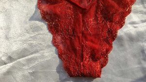 Sheer Lace Red Briefs