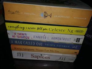 Bundle of Popular Fiction Books