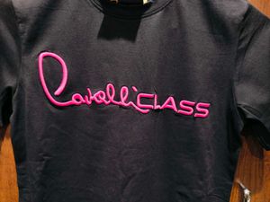 Ladies Tshirt _Roberto Cavalli