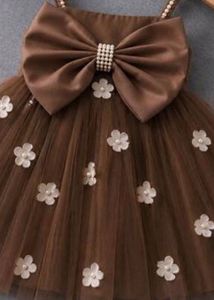 Brown Tutu Dress with Big Bow