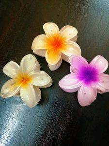 Floral Hair Claw Clips (Set of 3)