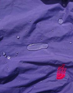 THE NORTH FACE PURPLE JACKET