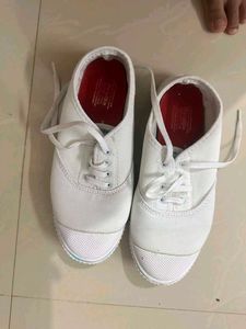Classic White Canvas Sneakers