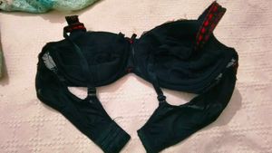 Very Sexy And Beautiful Net Bra Penty