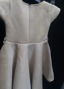 Beautiful Golden Party Wear Dress