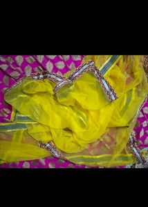 Gorgeous Pink &amp; Gold Lehenga