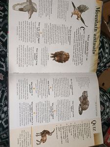 Best Encyclopaedia For Students