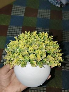 Artificial Potted Plant