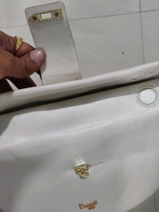 Baggit half moon sling bag