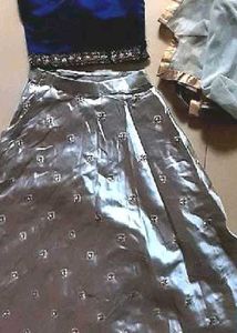 Silver Embellished Lehenga Choli