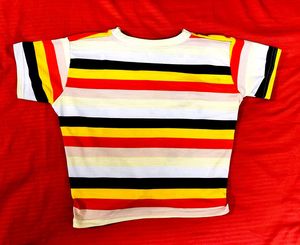 ZARA Multicolor Striped Crop Top – Casual &amp; Trendy