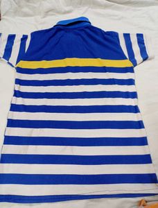 Casual Blue &amp; White Striped Polo T-Shirt