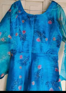 Organza Kurta Set